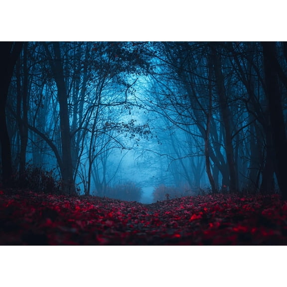 7x5ft Fabric Mysterious Foggy Forest Backdrops for Photography Dark Horror Park Red Leaves Forest of Strangers Background Halloween Night Vampire Witch Wizard Horror Party Decor Photo Props