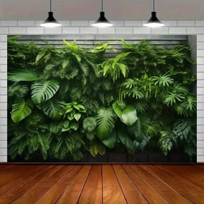 7x5ft Rainforest Photography Backdrop Tropical Jungle Scenery Waterfall Background Summer Event School Classroom Party Decorations Photo Props