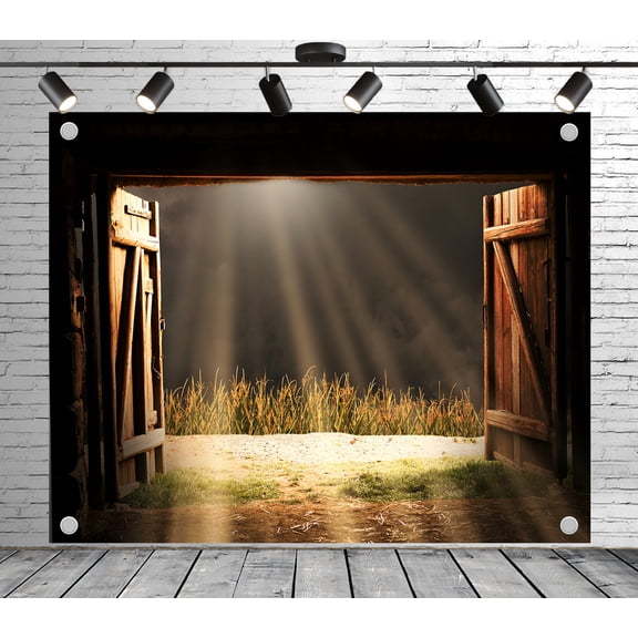 7x5ft Rustic Backdrop Wooden Door with Sunlit Field Photo Backdrop for Theme Party Wedding Birthday Baby Shower Decoration Banner Photo Booth Props