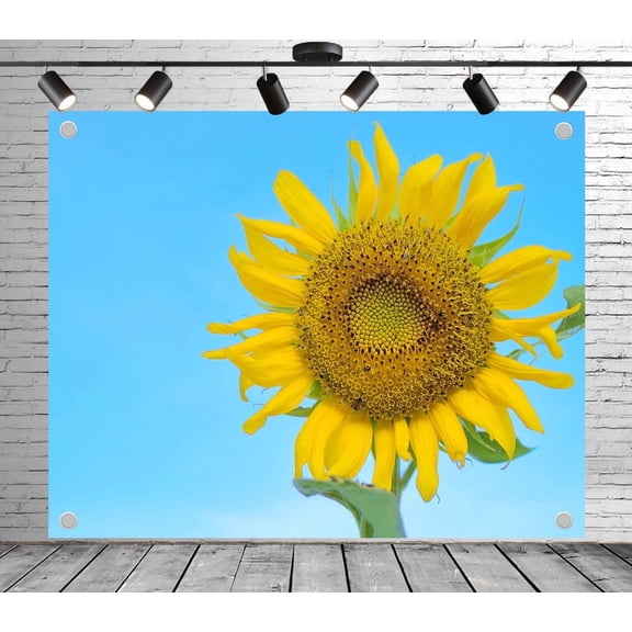 7x5ft Vibrant Sunflower Blue Sky Backdrop Photoshoot Photo Backdrop Nature Scene Background for Theme Party Wedding Birthday Baby Shower Decoration Banner Photo Booth Studio Props