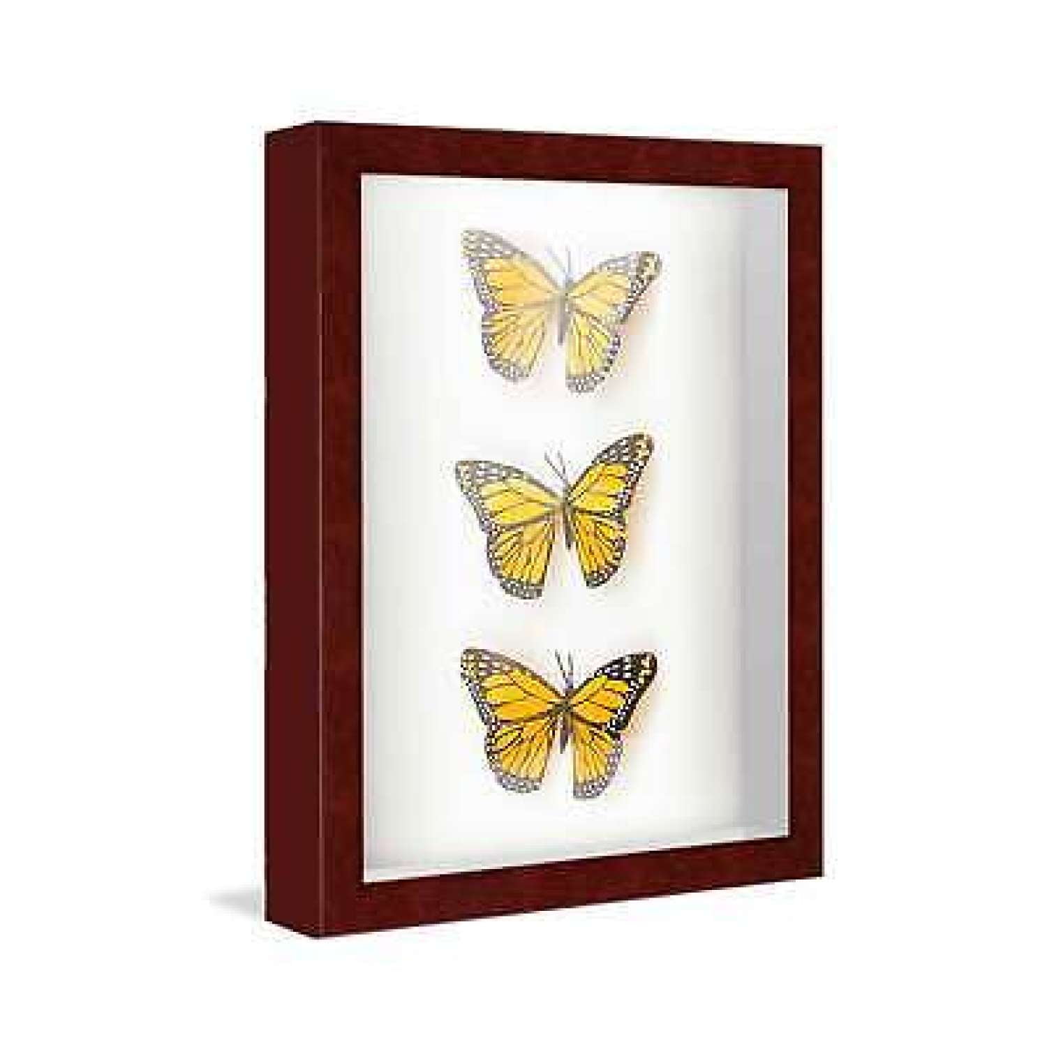 7x9-box-frame-brown-1-625-inches-deep-real-wood-traditional-box-d