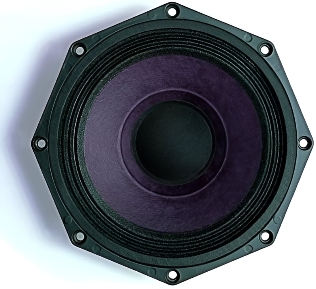 B&C 8PE21 Professional Studio Speakers Subwoofer - Walmart.com