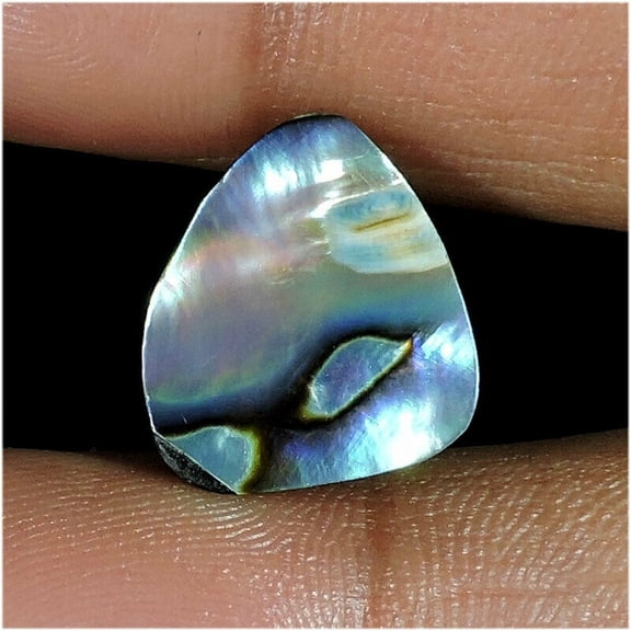 8.00Cts Natural Rainbow Fossil Abalone Shell Fancy Shape Loose Gemstone