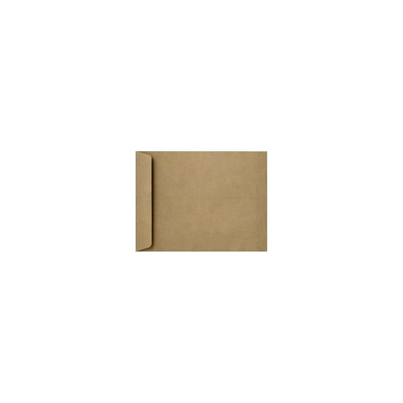 8 1/2 x 10 1/2 Open End Envelopes - Grocery Bag (50 Qty.)