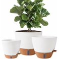 thumbnail image 1 of 8/10/12 Inch Self Watering Pots for Indoor/Outdoor Plants - Large Plastic Planter with Drainage Holes, Water Level Indicator & Deep Reservoir, Modern Decorative Flower Pots (White), 1 of 7