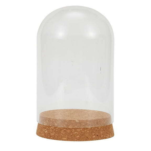 8/10/12cm Modern Handcraft Glass Dome Cover Dry Flower Vase With Wood Cork Base Landcrape Figurines Model Display Artworks DIY