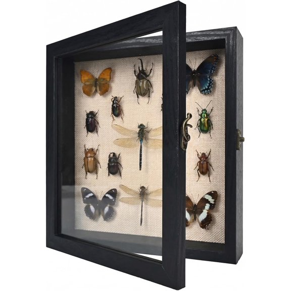 8×10 Shadow Box Frame, Linen Back, Glass Door, Hinge Display Case | shadow box display case features linen back, real glass hinged door, perfect for displaying medals, bouquets, and keepsakes.