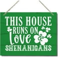 8"×10" This House Runs On Love & Shenanigans Decorative Hanging Wood