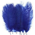 thumbnail image 1 of 8-10 inch (20-25cm) Natural Ostrich Feathers for Wedding Centerpieces Home Decoration,Flower Arrangement,DIY Christmas Decorations (20 Pcs,Royal Blue), 1 of 8