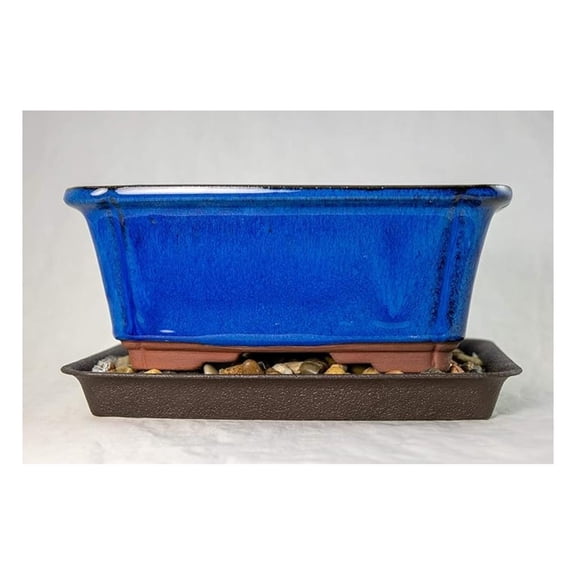 8.25" Rectangular Dark Blue Cactus & , Pot + Tray + Rock + Mesh - Combo