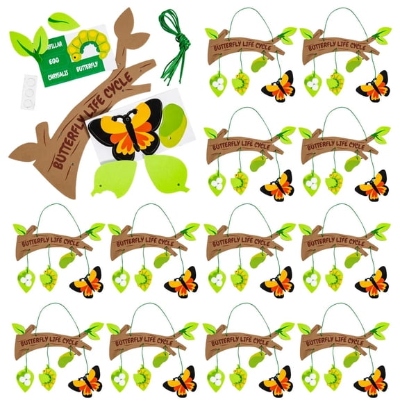 8 3/4" x 8 1/4" STEM Butterfly Life Cycle Learning Challenge Craft Kit Makes 12