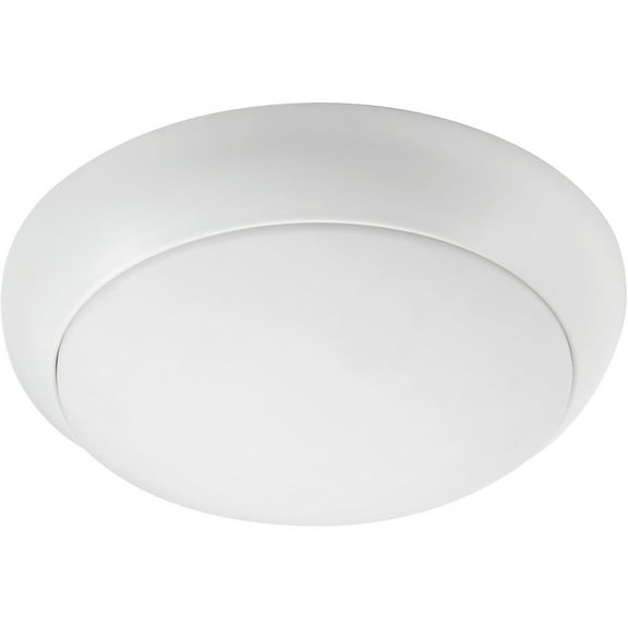 Fury 1 - Light Studio White White