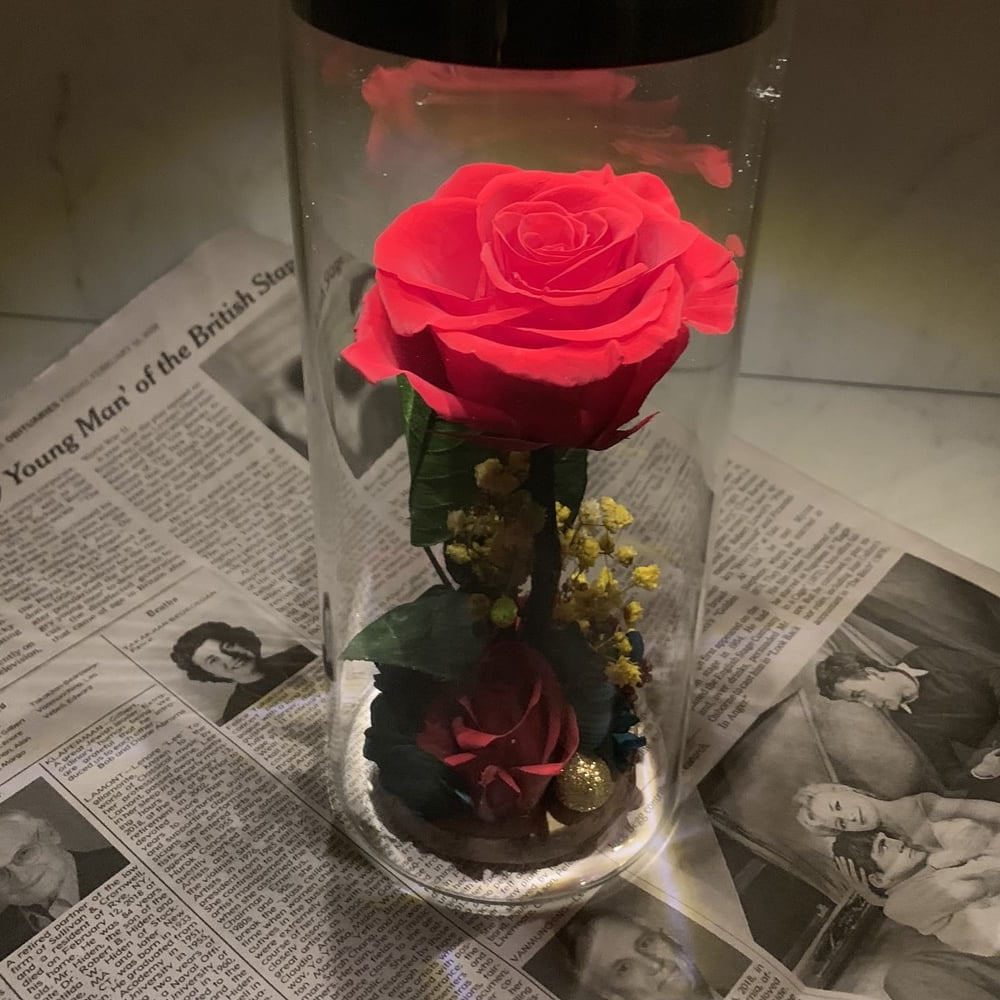 8.5" Enchante Forever Rose Touch Night Light Preserved Flower LED Lamp Wedding Anniversary Birthday Valentine's Day Mother's Day Gift, Red