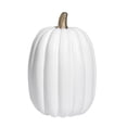 thumbnail image 1 of 8.5 Inch Large Styrofoam Pumpkin – Paintable Artificial Pumpkin for Fall, Halloween, Thanksgiving, and Craft Projects, 1 of 9