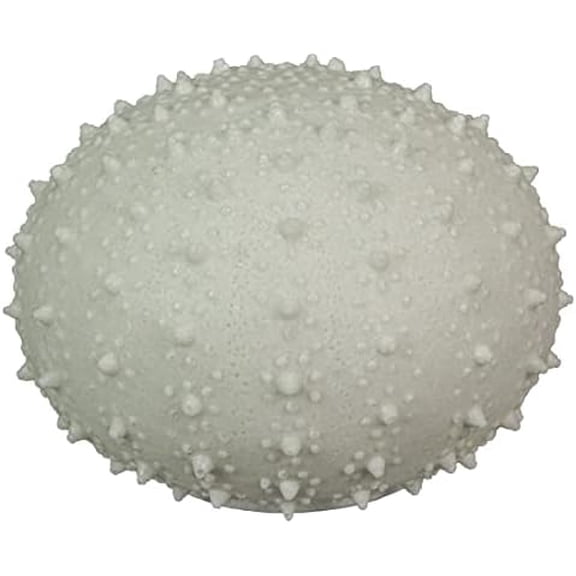 8.5 Inch Resin LED Sea Urchin Accent Lamp Decorative Sea Table Light Nautical Home Decor$$Tools & Hardware Other