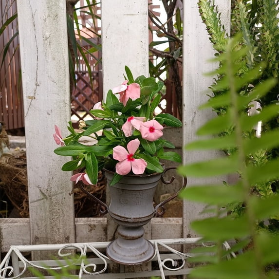8.5 Inches Vintage Trophy-Shaped Planter Pot, Durable Decorative Flower Container With Stable Base, Perfect For Displaying Succulents, Herbs And Blooming Flowers For Patio,
