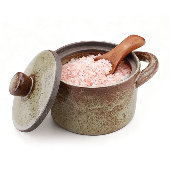 8.5 Oz Speckled Porcelain Salt Cellar with Lid & Wooden Spoon, Handcrafted Pepper Salt Dish Holder, Glaze Spice Jar Kitchen Countertop Canister/Container/Bowl for Sugar Storage