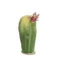 thumbnail image 1 of 8.5" Southwestern Style Green and Yellow Cactus on Wooden Base with Pink Flower, 1 of 3