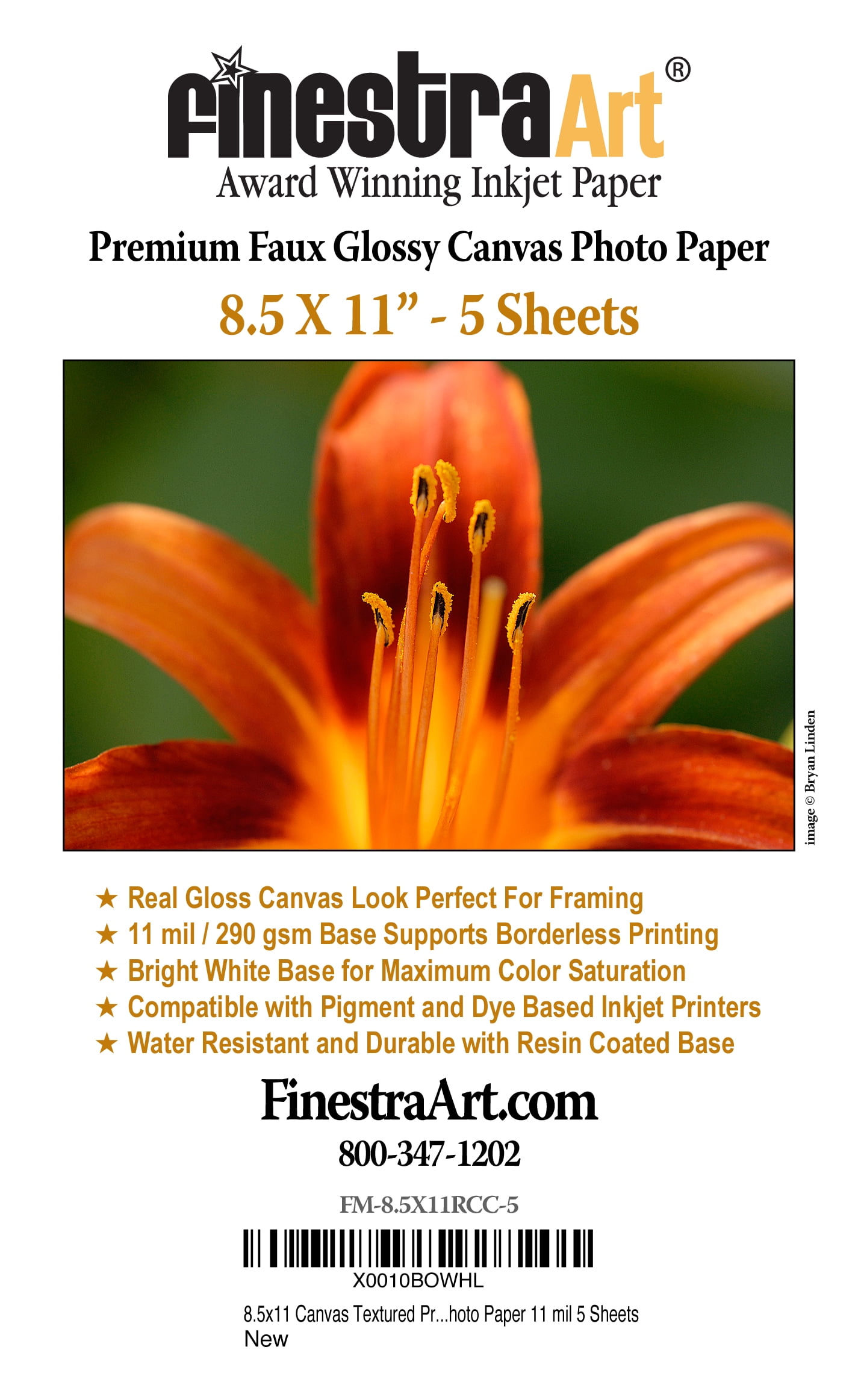 Finestra Art Photo Paper for Printers: Glossy & Matte Picture