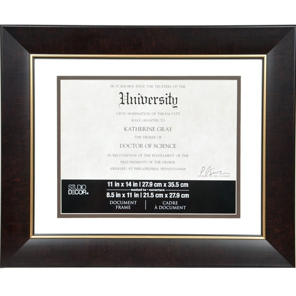 8.5" x 11" Brown & Gold Document Frame with Mat by Studio Decor