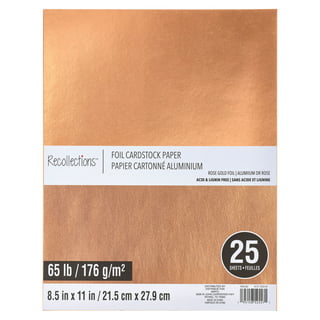 LIVHOLIC 200 Colored Cardstock Paper,Colorful Card Stock 250GSM Heavy  Weight