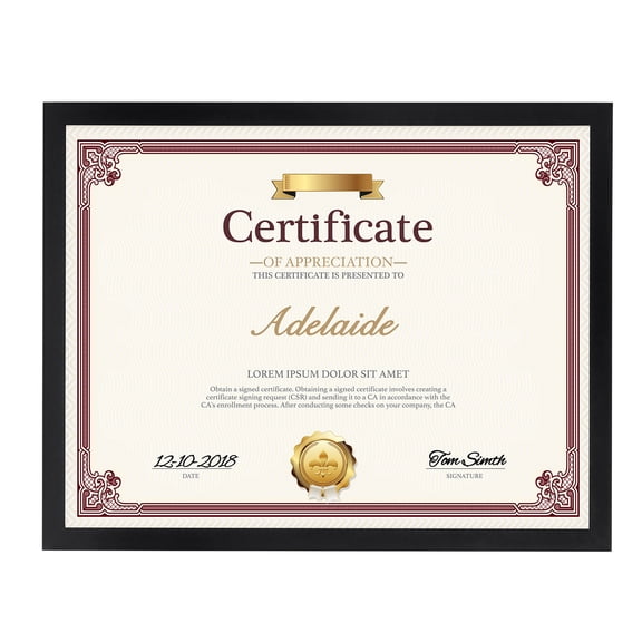8.5x11 Document Frame, Black Certificate Frame 8.5 by 11 for Wall Tabletop Display, Single