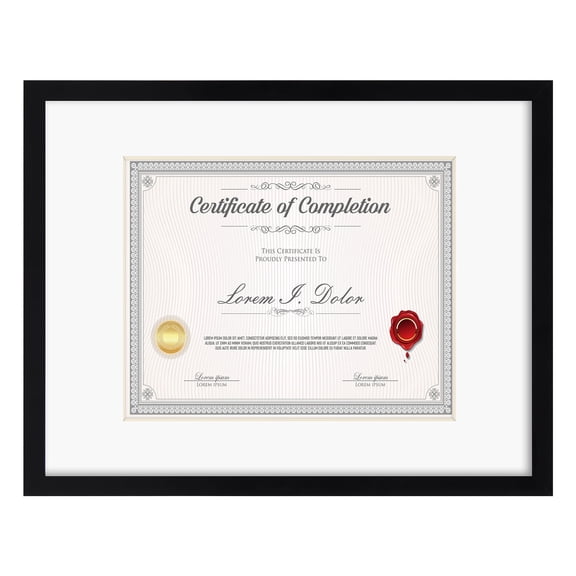 8.5x11 Picture Frames 1 Pack, 12x16 Certificates Frame without Mat and 8.5x11 with Mat, Black