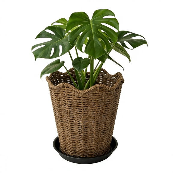 8.6'' Woven Rattan Planter Basket with Saucer, Rustic Braided Wicker Planter with Scalloped Edge, Decorative Plant Pot Cover for Indoor Monstera, Pothos & House Plants