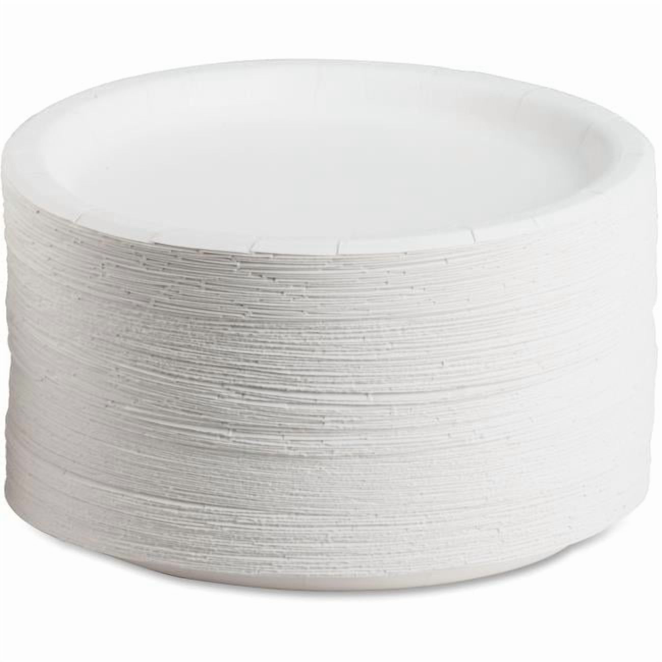 8.75 in. Coated Paper Dinnerware Plates - White