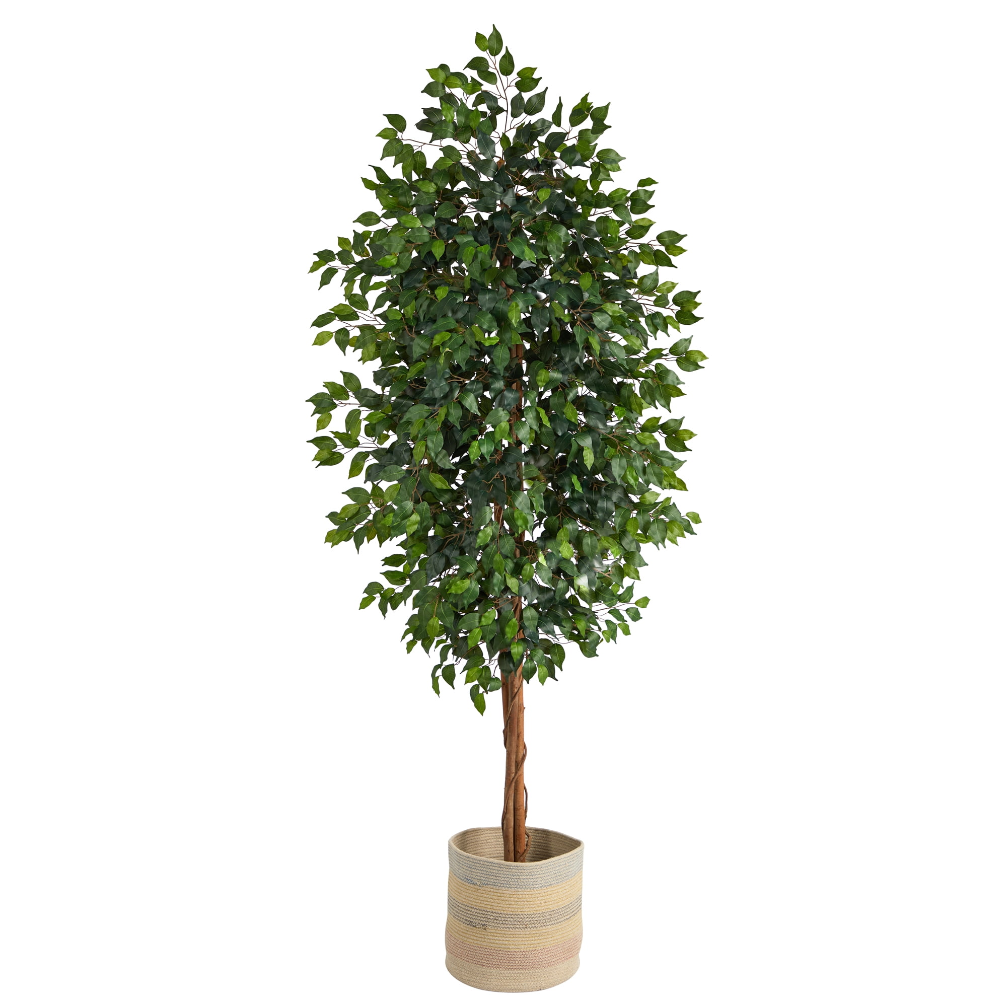 8' Artificial Ficus Artificial Trees in Wood Cotton Planter , by Nearly Natural