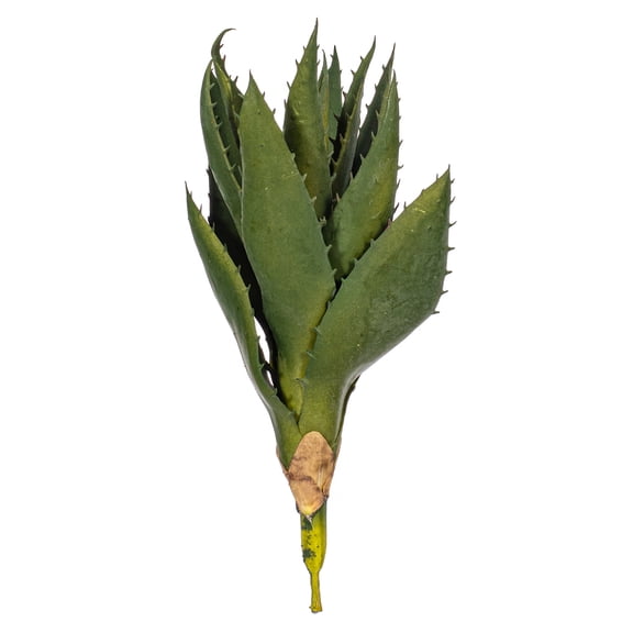 8" Artificial Green Aloe Stem 2/bag