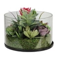 thumbnail image 1 of 8" Artificial Mixed Succulent Arrangement in Round Glass Jar, 1 of 5