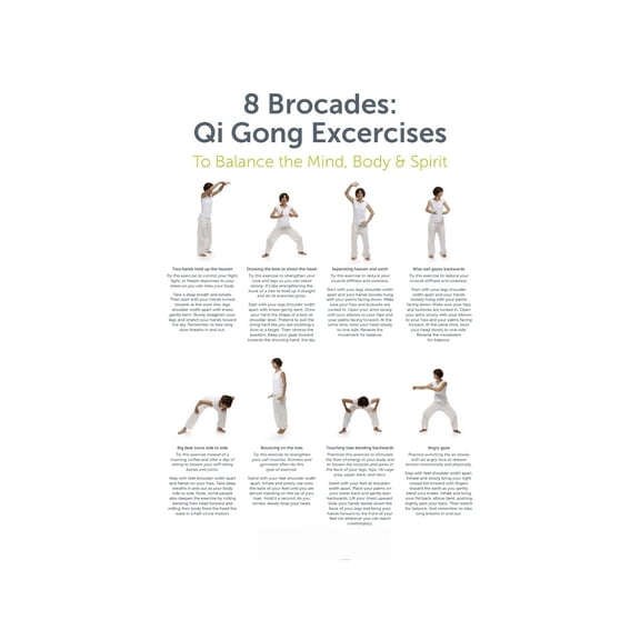 8 Brocades Ba Duan Jin Qi.gong Chart Traditional Chinese Exercise Guide Poster for Holistic Health Mindfulness and Meditation Space Office Decor 8 X 12 in