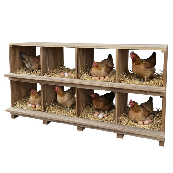8-Compartment Wooden Chicken Nesting Box with Perches, Ventilated & Easy Clean Poultry Egg Laying Box