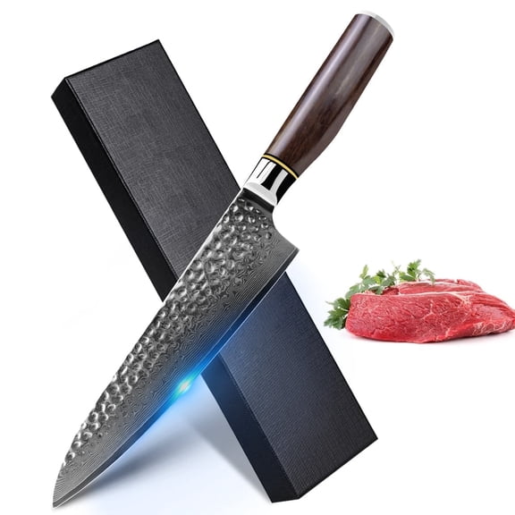 8" Damasus Chef Knife Sharp Santoku Knife with Giftcase,Japanese 67-Layers VG-10 Steel Core Hammered Blade Slicing Knife for Meat,Fish and Vegetable