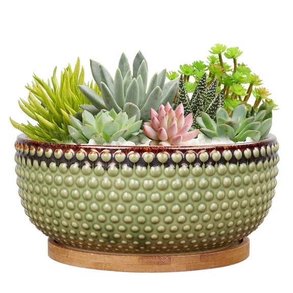8 inch Ceramic Bonsai Pot Shallow Round Planter with Drainage & Bamboo Tray for Succulents Cacti Indoor Home Decor Green