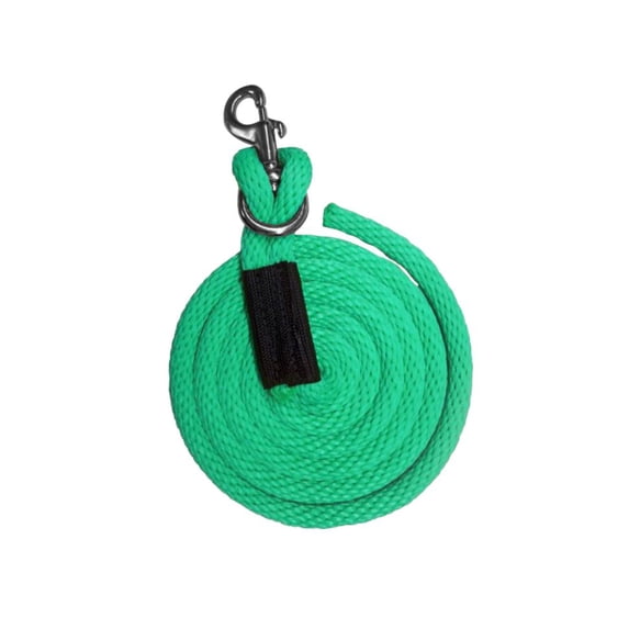 8' Derby Lead w/ Removable Snap (Teal)
