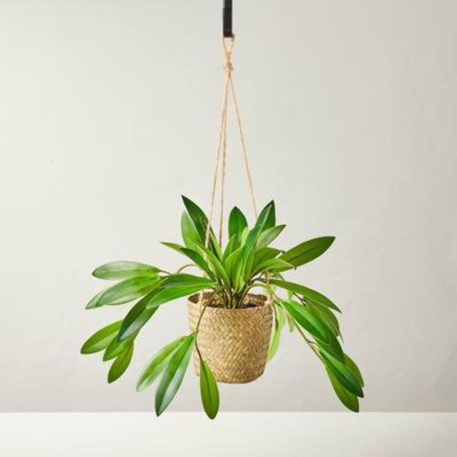 8 Faux Hoya Hanging Plant - Hearth  Hand with Mag