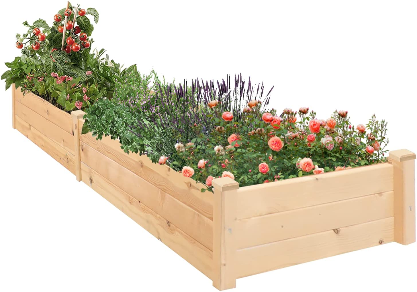 8 Feet Outdoor Wooden Raised Garden Bed, Elevated Planting Planter Box