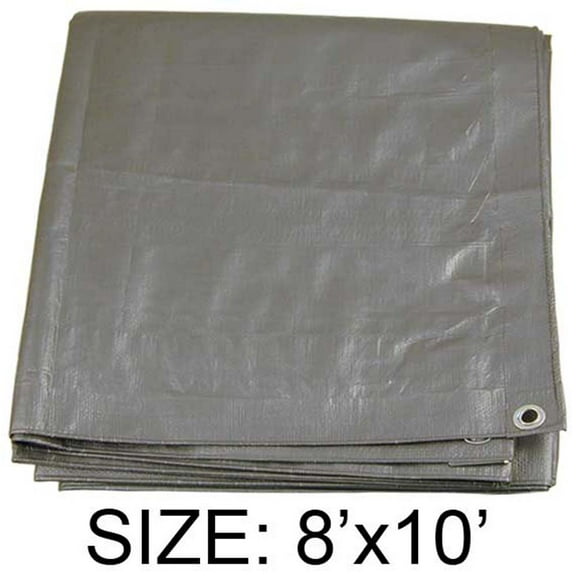 8 Feet x 10 Feet Multipurpose Silver - 9 Mil Laminated Pe Tarp - Waterproof, 165 Gsm (ToolUSA: TS-50811)