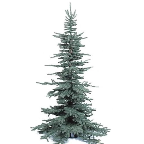 8 Foot Frasier Pine Tree - Blue