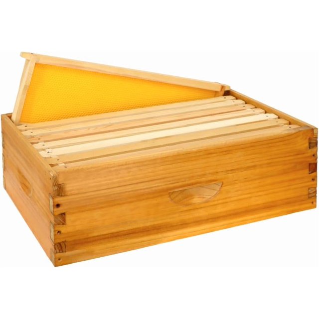 8 Frame Bee Hive Box, Langstroth Medium Super Bee Box Dipped in 100% ...