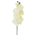 thumbnail image 1 of 8 Heads Artificial Phalaenopsis Flowers Artificial Orchid Flowers Stem Plants for Home Décor, 1 of 7