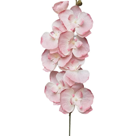8 Heads Artificial Phalaenopsis Flowers Artificial Orchid Flowers Stem Plants for Home Décor