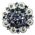 thumbnail image 1 of 8 Hilason Western Berry Conchos Glass Rhinestones Bling 1.5" Tack cowgirl, 1 of 4