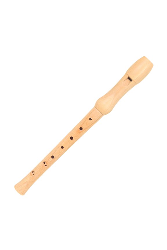 7829 8 Hole Recorder German British Treble Flute with Clean Rod & Storage Box