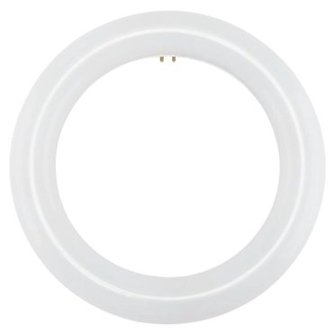 Feit Electric FC8T9/CW 22W Cool White Circular Fluorescent Bulb – T9 Circle Light