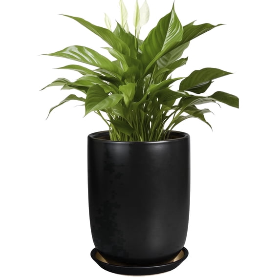 Ordivic 8 inch Black Ceramic Planter with Drainage Hole & Saucer – Round Cylinder Flower Pot for Indoor & Outdoor Houseplants
