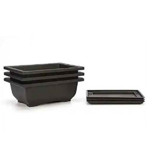 8 Inch Bonsai Pots with Drain Holes and Drip Trays - Heavy Duty, Great Pots for Bonsai Tree, Succulents, Flowers (3 Pots)