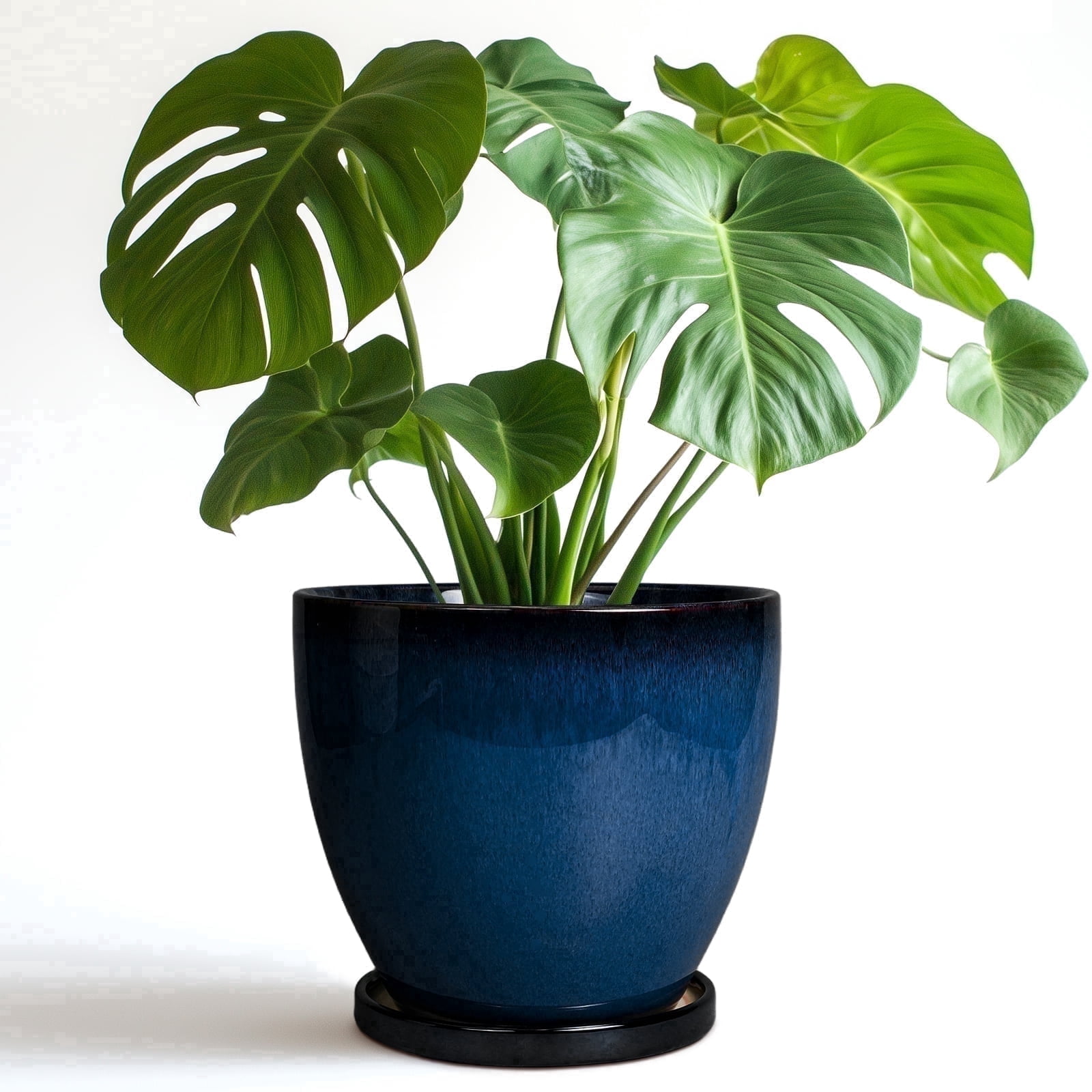 EPFamily 8 Inch Blue Ceramic Planter with Drainage Hole and Saucer – Modern Flower Pot for Indoor Plants, ZZ Plant, Peace Lily